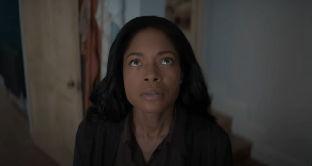 THE WASP | Trailer | Naomie Harris, Natalie Dormer